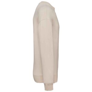 Native Spirit Unisex Oversized Sweatshirt