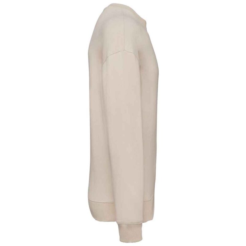 Native Spirit Unisex Oversized Sweatshirt
