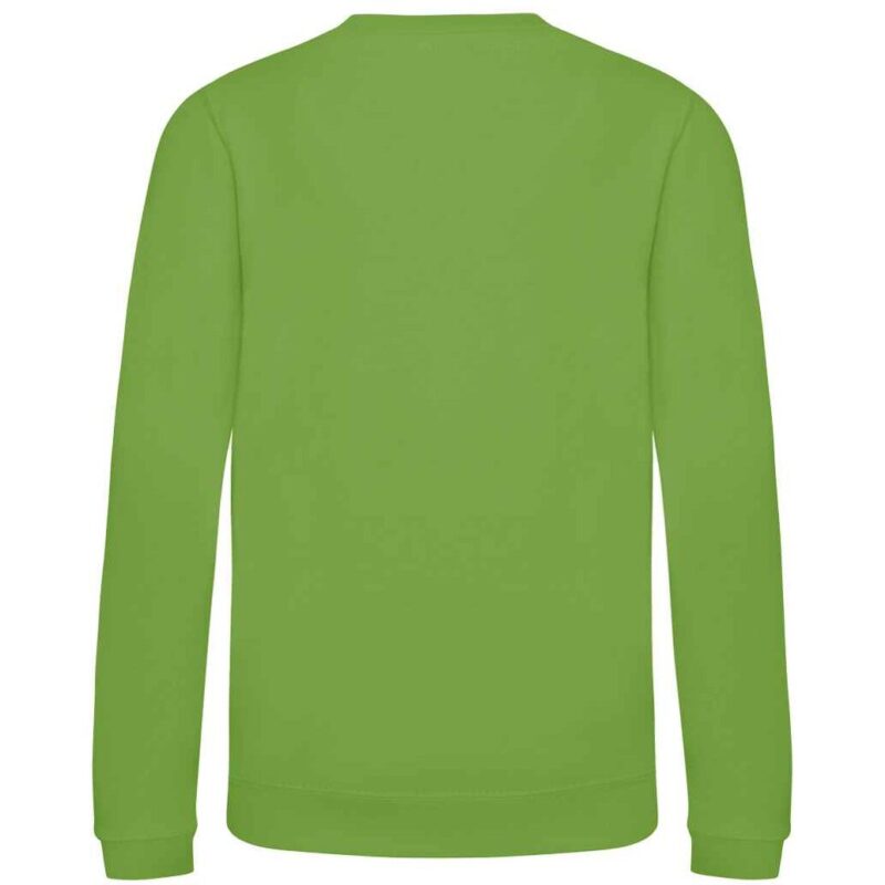 AWDis Kids Sweatshirt