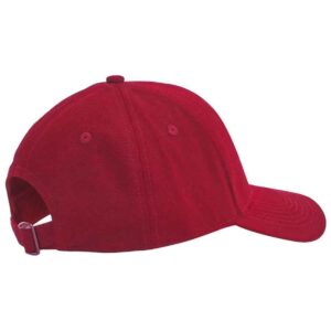Beechfield EarthAware Classic Organic Cotton 6 Panel Cap
