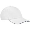 White/French Navy