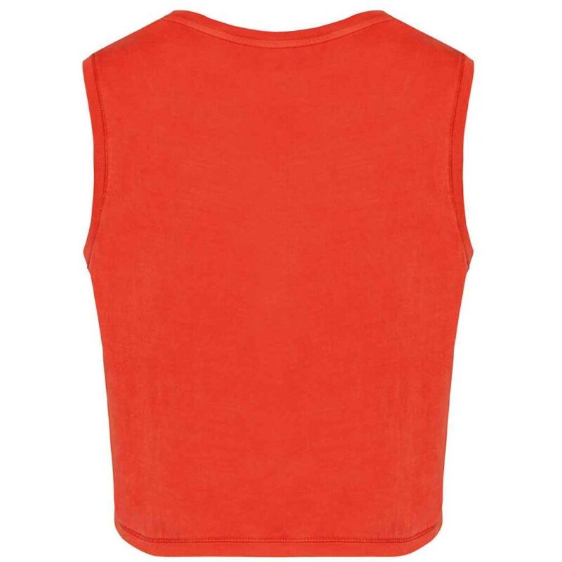 Native Spirit Ladies Cropped Tank Top