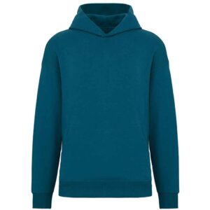 Native Spirit Unisex Oversized Hoodie