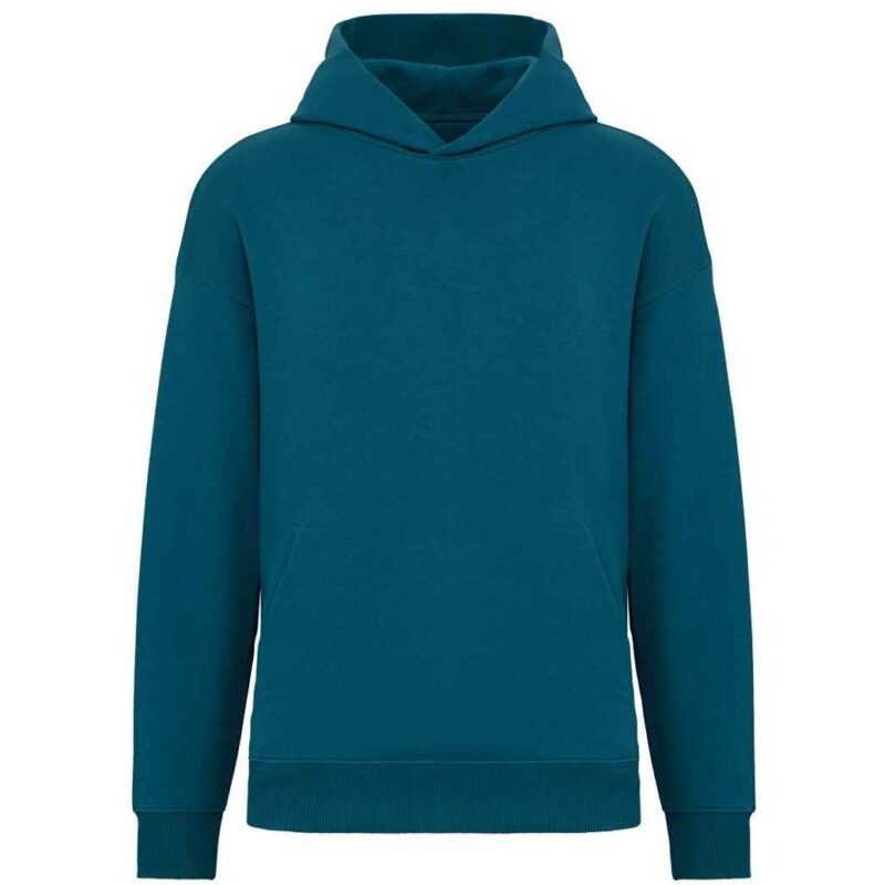 Native Spirit Unisex Oversized Hoodie