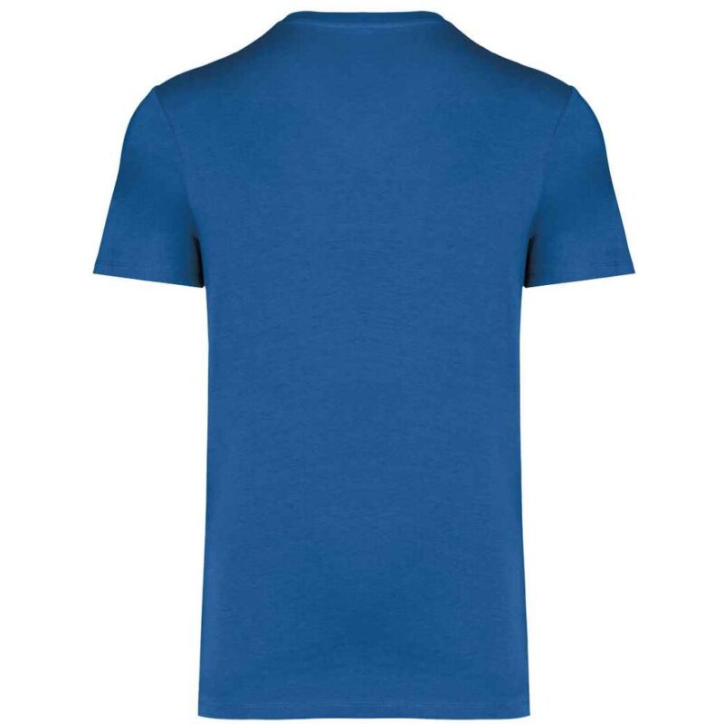 Native Spirit Unisex Heavyweight T-Shirt