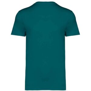 Native Spirit Unisex Heavyweight T-Shirt