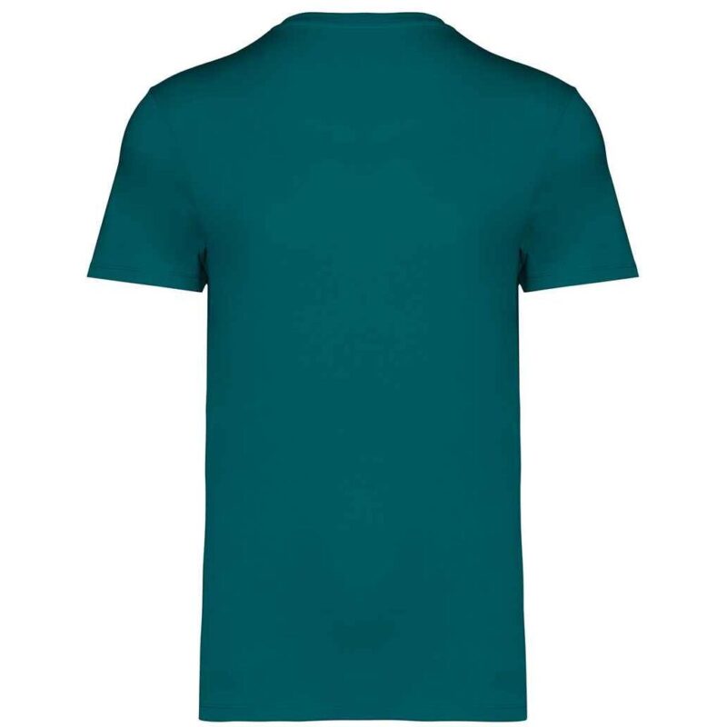 Native Spirit Unisex Heavyweight T-Shirt