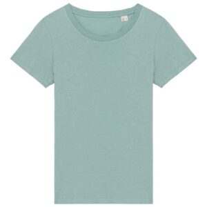 Native Spirit Ladies T-Shirt