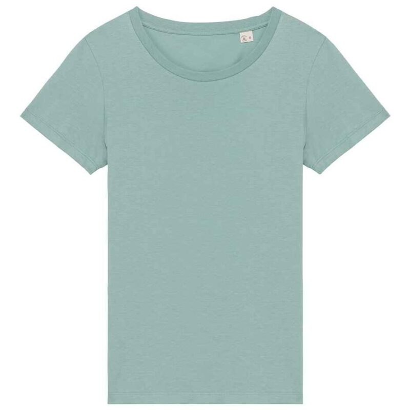 Native Spirit Ladies T-Shirt