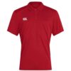 Flag Red