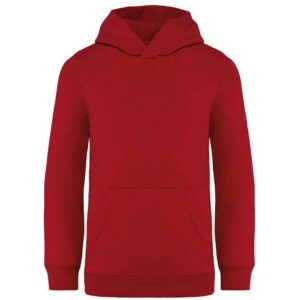 Native Spirit Kids Hooded Sweatshirt