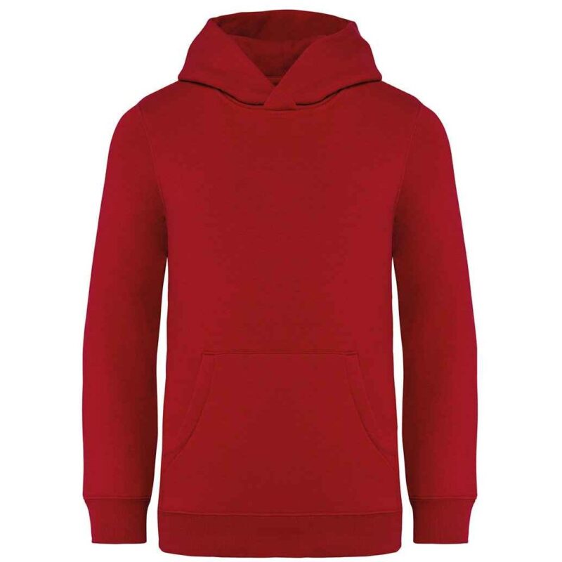 Native Spirit Kids Hooded Sweatshirt