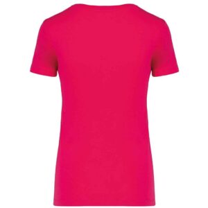 Native Spirit Ladies T-Shirt