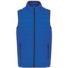 Light Royal Blue