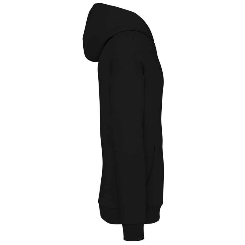 Native Spirit Unisex Oversized Hoodie