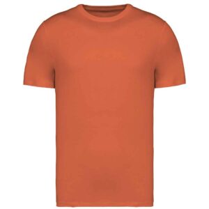 Native Spirit Unisex Heavyweight T-Shirt