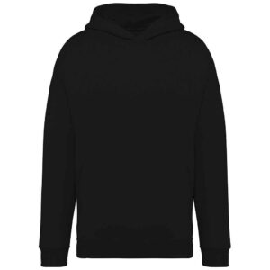 Native Spirit Unisex Oversized Hoodie