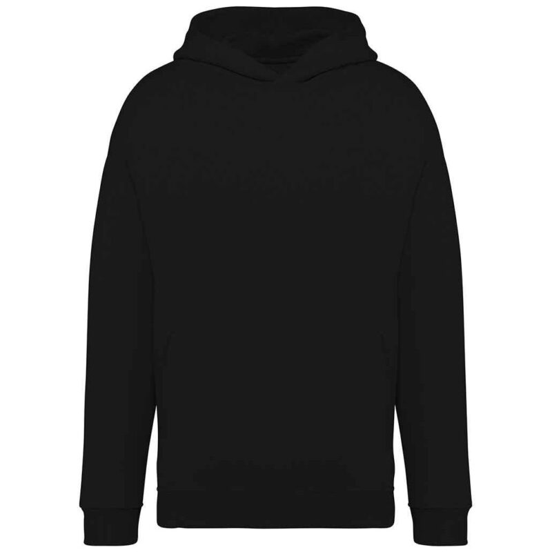 Native Spirit Unisex Oversized Hoodie