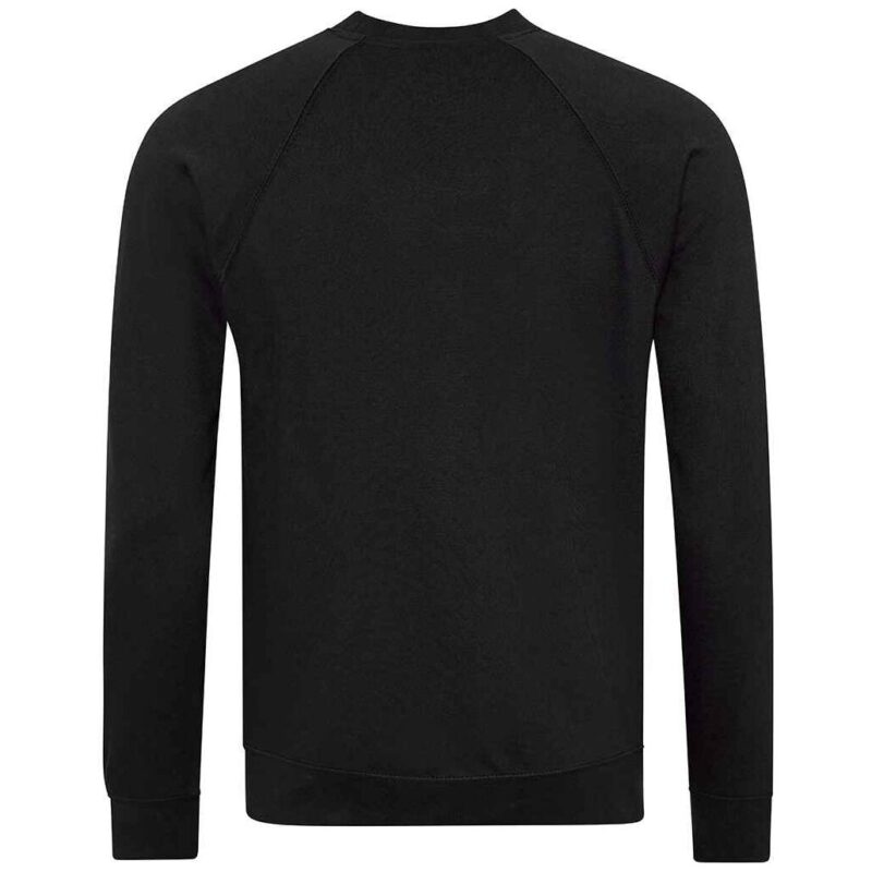 AWDis Academy Senior Raglan Sweatshirt